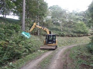 特殊伐採